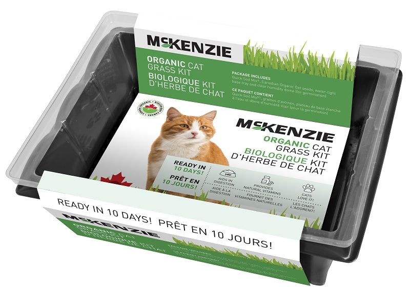 141292 KIT GRASS CAT ORGANIC