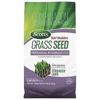 Scotts Turf Builder 18039 Perennial Ryegrass Grass Seed, 5.6 lb Bag