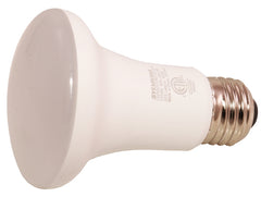 73991 LED 10YR 50W R20 5000K