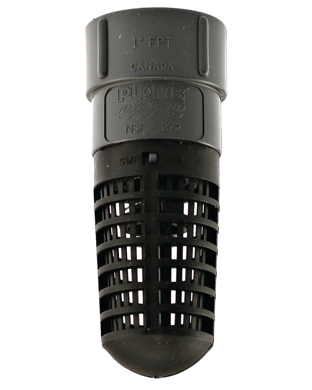 PE-PFV10 FOOT VALVE PVC 1IN