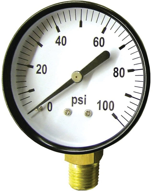 Green Leaf SG 100 1PK Pressure Gauge, Standard