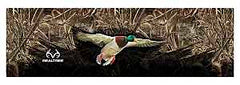 RT-WF-DK-MX5 FILM WDW RR DUCK