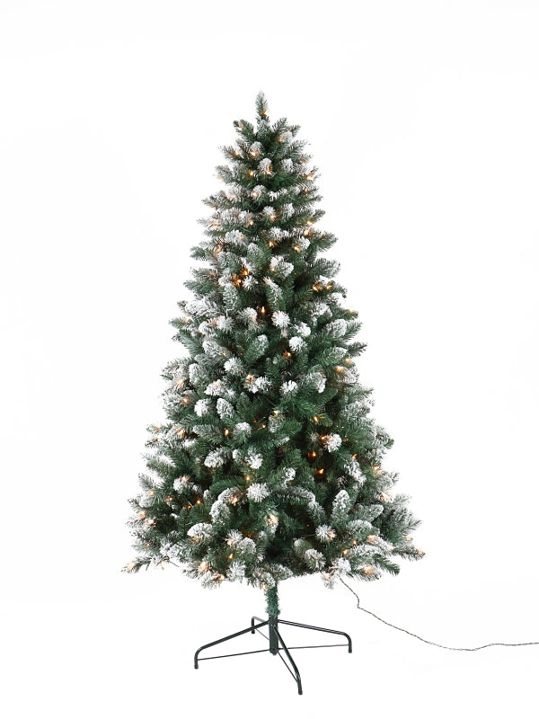 50766 SPRUCE FRST PRLT CLR 6.5
