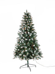 50766 SPRUCE FRST PRLT CLR 6.5