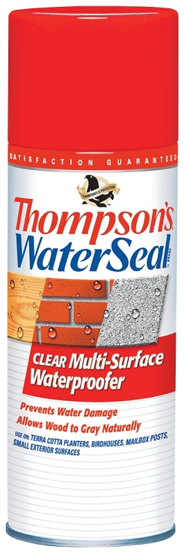 Thompson's WaterSeal TH.10100-18 Waterproofer, Clear, 12 oz, Aerosol Can