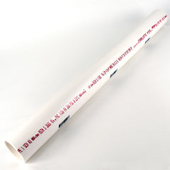 Charlotte Pipe PVC 07200 0200 Cut Pipe, 2 in, 2 ft L, SCH 40 Schedule, PVC, White