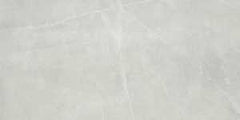 Emser Tile Sterlina II Series F20STERSI1224 Porcelain Tile, 24 in L Tile, 12 in W Tile, Rectified Edge, Silver