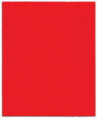 DCS045100S06G SHEET 100G 6PK
