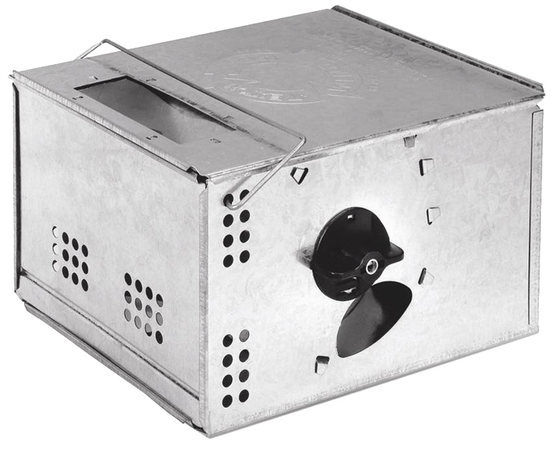 J.T. Eaton 425H Multiple Catch Mouse Trap, 7 in L, 5.3 in W, 9.3 in H