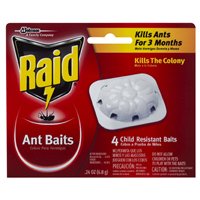 Raid Max 76746 Ant Bait, Paste, 0.24 oz