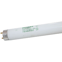 22026 F032T8 5K FLUOR BULB 4FT