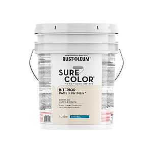 PAINT&PRIMER EGSHL ANT WHT 5GA