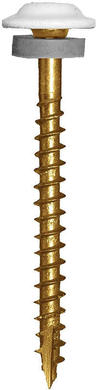 Ramset 120680 Cabinet Screw, 1-1/4 in L, Low-Profile, Washer Head, Star Drive, Zip-Tip Point, Stainless Steel, 80 PK