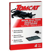 0365310 MOUSE TRAP GLUE LOCK