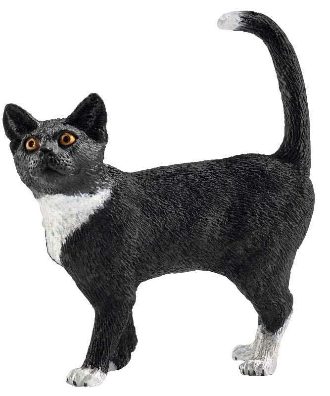 Schleich-S 13770 Toy, 3 to 8 years, Cat, Plastic