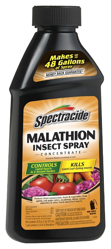 60900 MALATHION 16OZ CONC