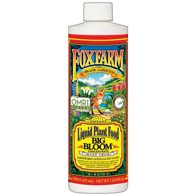 Big Bloom FX793103 Plant Food, 1 pt, Liquid, 0-0.5-0.7 N-P-K Ratio