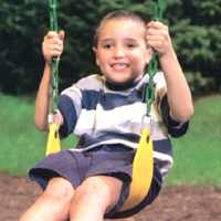 Playstar PS 7948 Swing Seat, 120 lb, 1 Seating