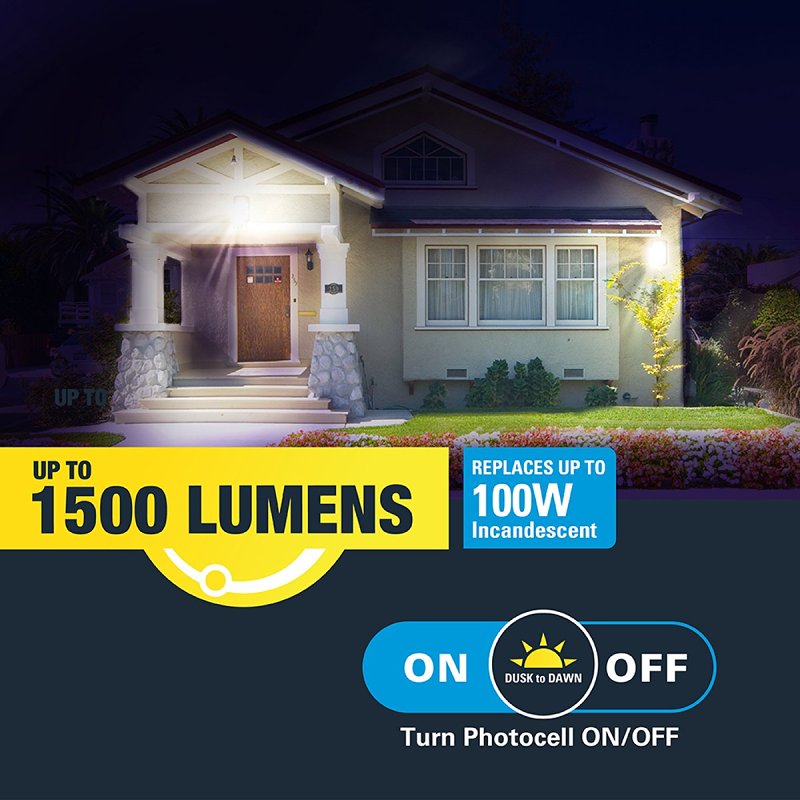 LIGHT WP LED D2D SCCT BRZ 100W