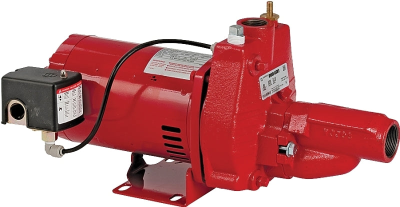602137 JET PUMP SHLWWL 3/4HP