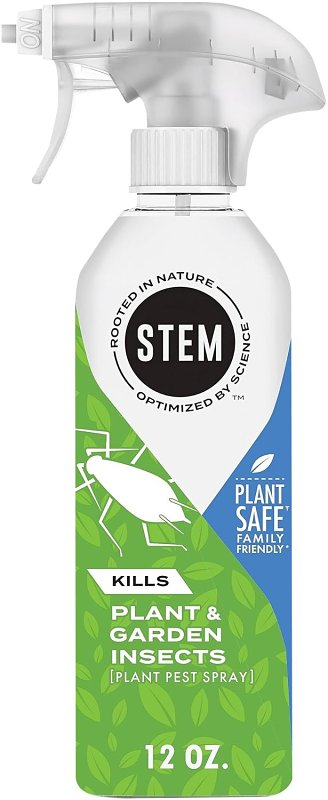 PLANT & GARDEN INSECT SPRAY