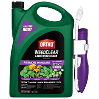 Ortho 0448805 Weed Killer, Liquid, Clear, Spray Application, 1 gal Bottle