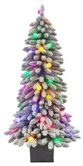 PULEO ASIA LIMITED 357-3517-ST60G40L Potted Alpine Tree, Flocked, 5 ft