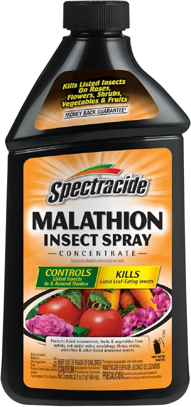 CONCENTRATE SPRAY INSECT 32OZ