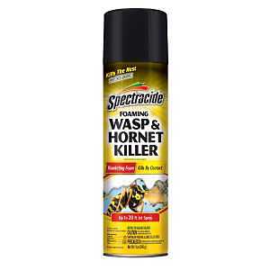 FOAMING WASP & HORNET KLR 14OZ