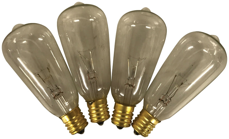 Hometown Holidays 19225 Light Bulb, Clear Light