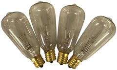 Hometown Holidays 19225 Light Bulb, Clear Light