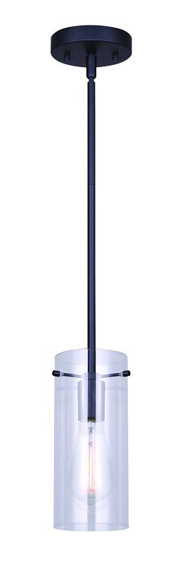 PNDT LIGHT 1LT CLR MATBLK 100W