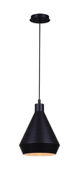PNDT LIGHT FC 1LT MAT BLK 60W