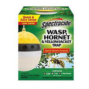WASP & HORNET TRAP