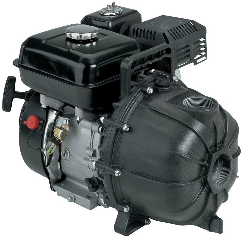FP5455-01 PUMP GAS 6.5 HP