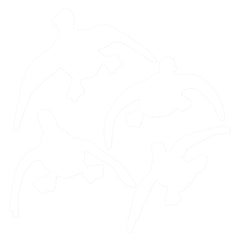 SDE5300 DECAL FLYING WHT 6X8IN