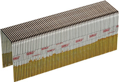 P10BAB STAPLE 16X1CRNX5/8 EG
