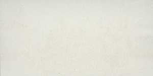 Emser Tile Potenza Series F12POTEIV1224V3 Porcelain Tile, 24 in L Tile, 12 in W Tile, Pressed Edge, Rectangular Pattern