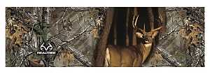RT-WF-WT-XT FILM WDW REAR DEER