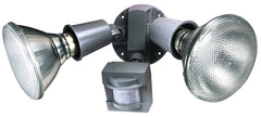 FLOODLIGHT SCRTY MOTN 2LT GRAY
