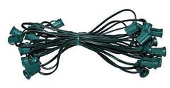 Hometown Holidays 19420 Hank Set, 120 V