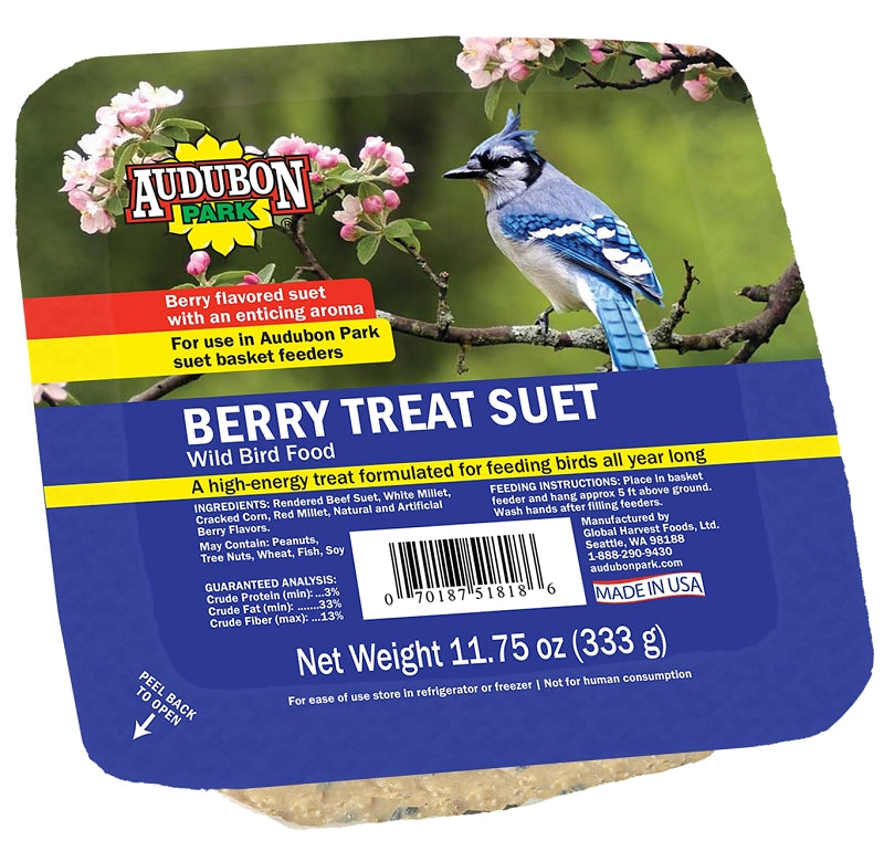 Audubon Park 13066 Wild Bird Food, Suet, Berry, 11.75 oz Box