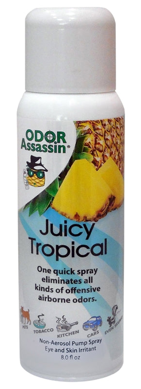 Odor Assasin 124951 Odor Eliminator, 6 oz Can