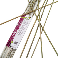 Gardener's Blue Ribbon BB6N Plant Stake, 6 ft L, Bamboo, Natural