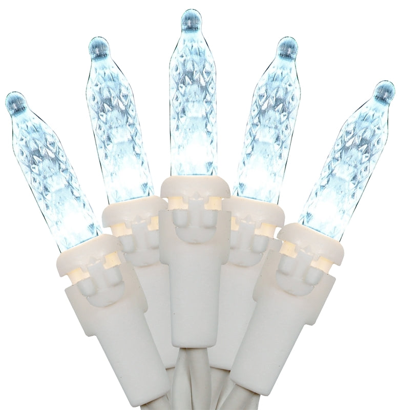 Hometown Holidays W11N0480 Light Set, 70-Lamp, LED Lamp