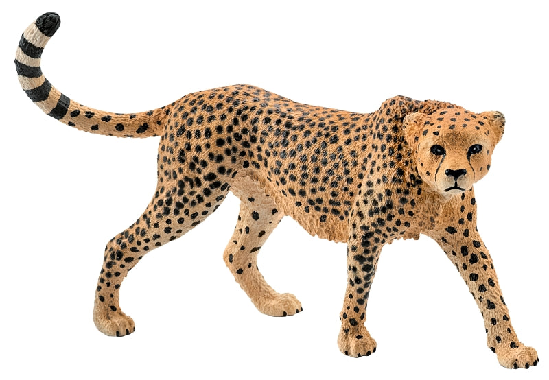 Schleich-S 14746 Figurine, 3 to 8 years, Female Cheetah, Plastic