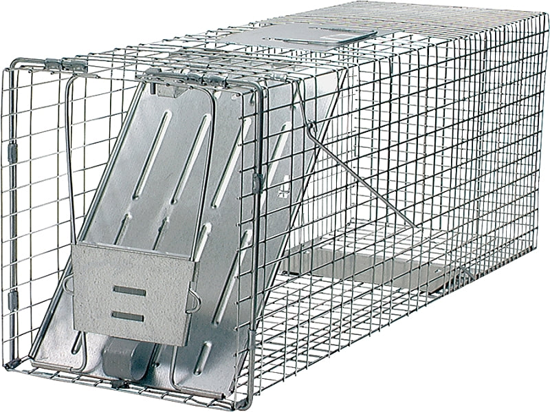 1079 RACOON TRAP