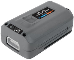 Snow Joe EcoSharp IBAT40 Lithium Battery, 40 V Battery, 4 Ah, Includes: All Snow Joe and Sun Joe Cordless iON Models