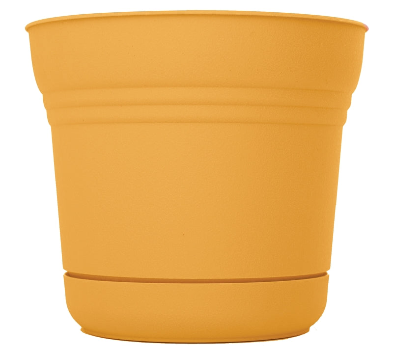 Bloem SP0523 Planter, 5 in Dia, 5 in W, Saturn Design, Earthy Yellow, Matte