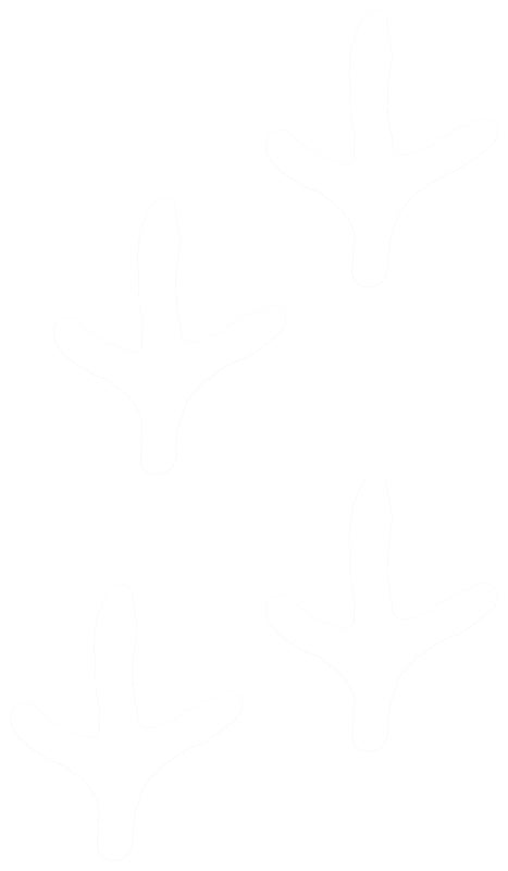 SDE5301 DECAL TRKY TRACK 6X8IN
